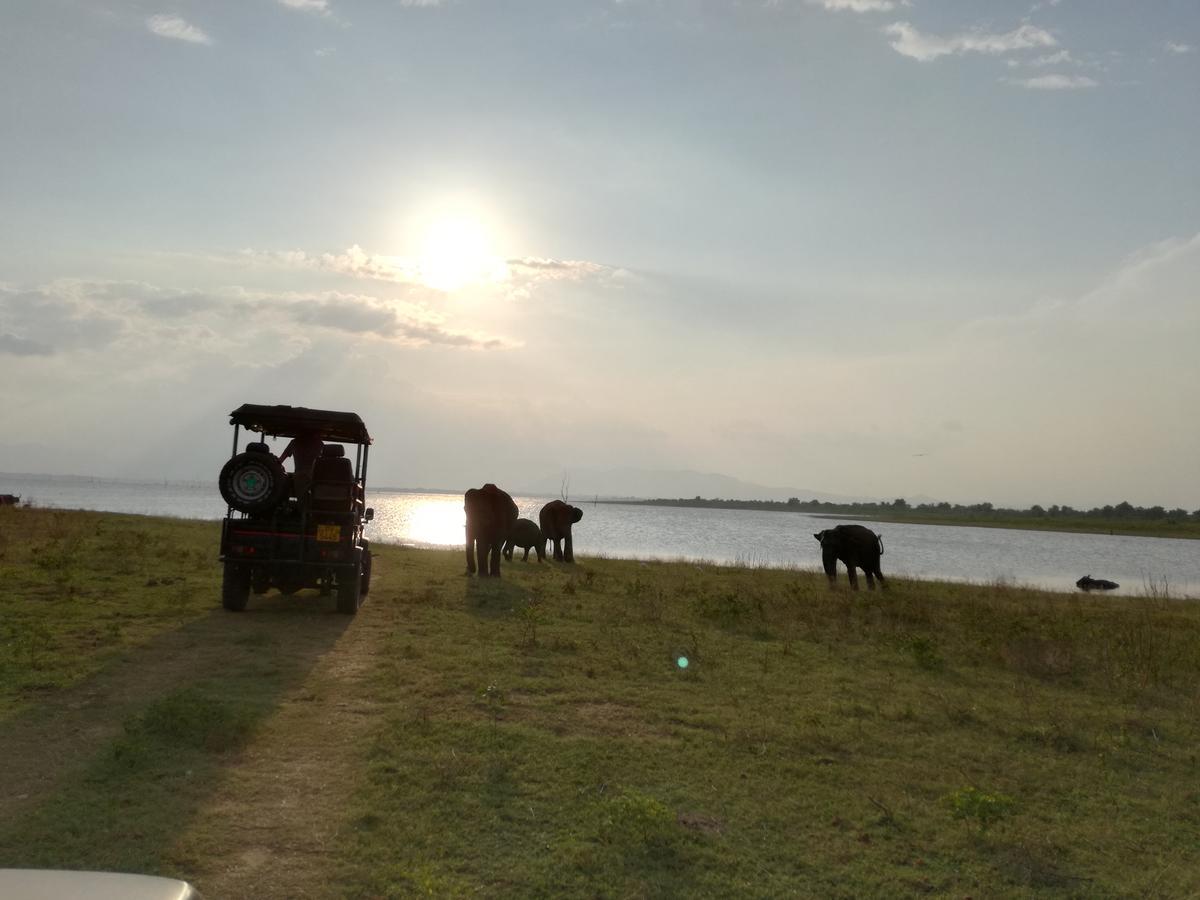 Induwara Safari Resort Udawalawe Zewnętrze zdjęcie