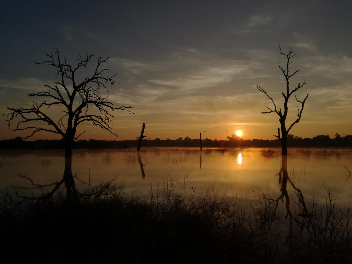 Induwara Safari Resort Udawalawe Zewnętrze zdjęcie