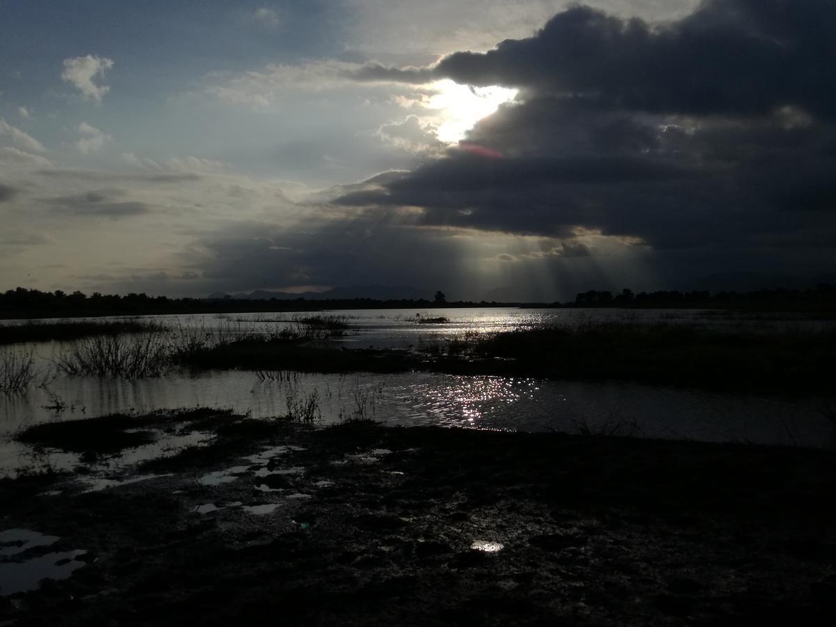 Induwara Safari Resort Udawalawe Zewnętrze zdjęcie