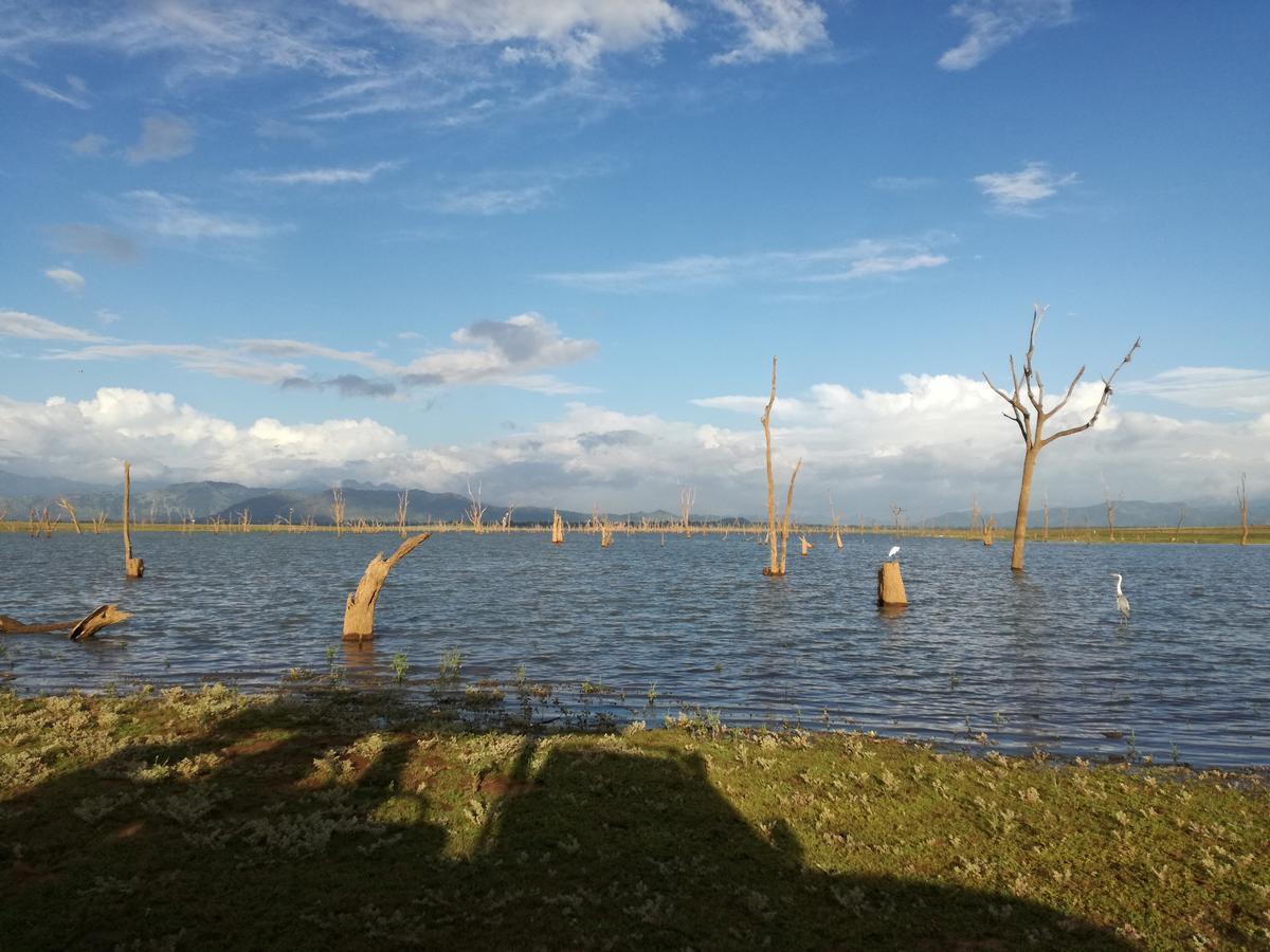 Induwara Safari Resort Udawalawe Zewnętrze zdjęcie