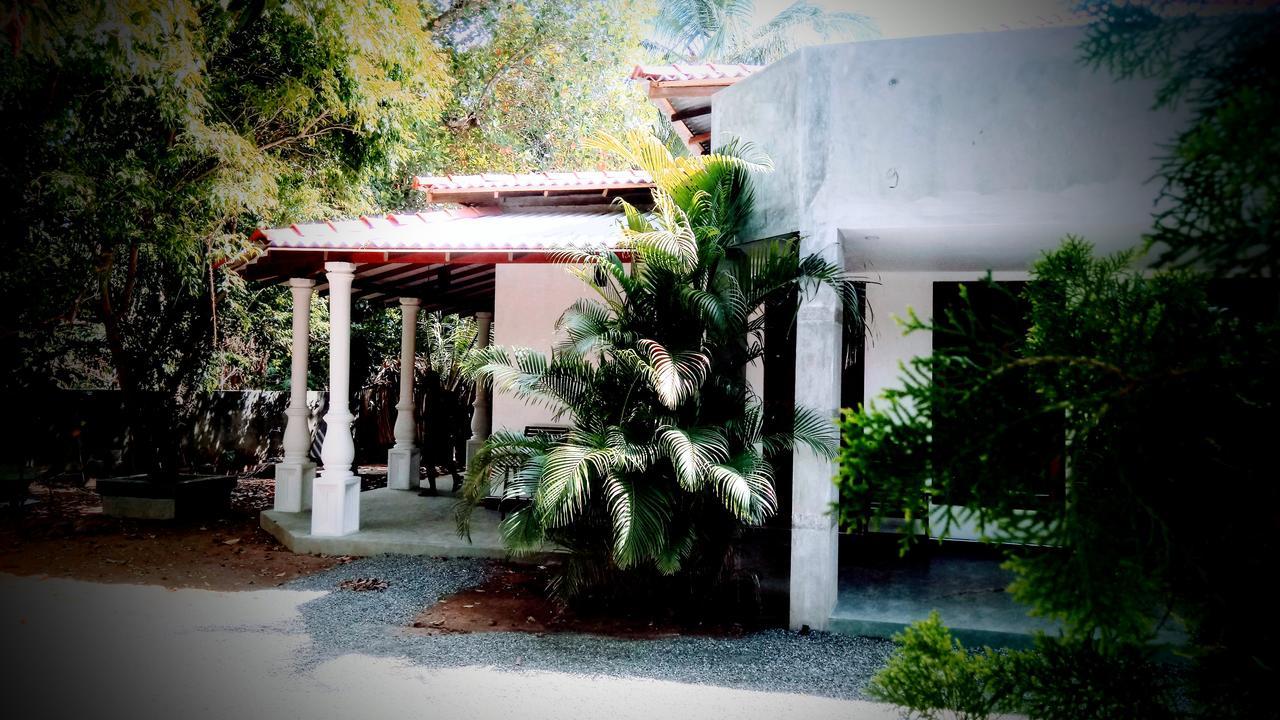 Induwara Safari Resort Udawalawe Zewnętrze zdjęcie